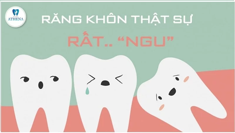 nho_rang_khon